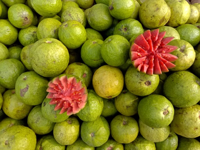 arabfields-guava-1