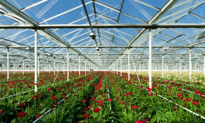 arabfields-horticulture-1