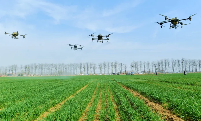 arabfields-img-500-11