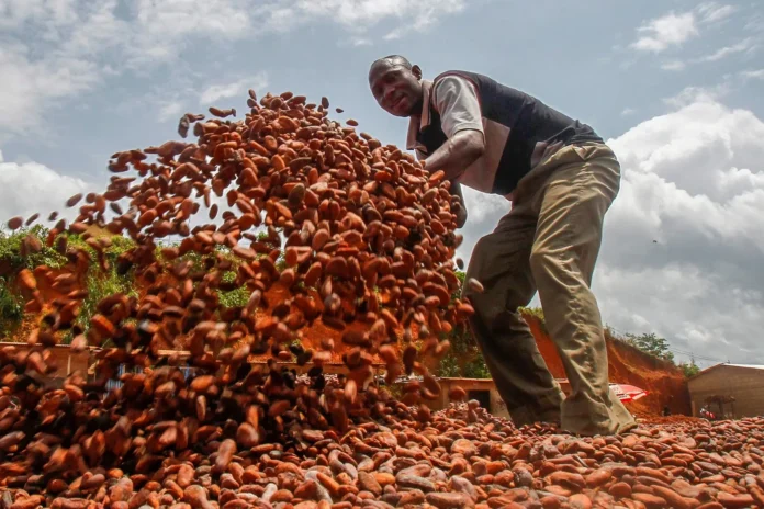 arabfields-img-500-36