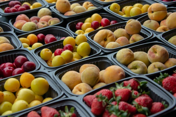 arabfields-img-500-48