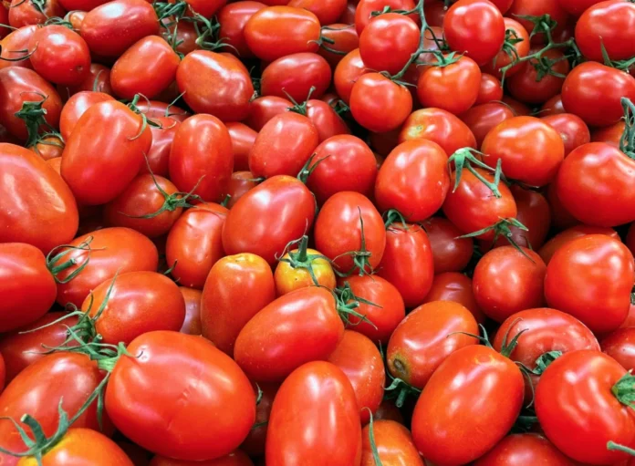 arabfields-img-500-49