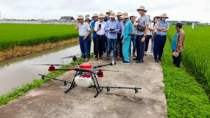 arabfields-img-500-51