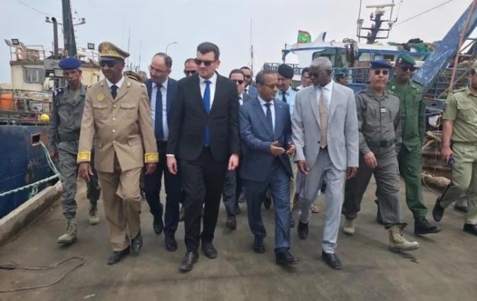 arabfields-img-500-58