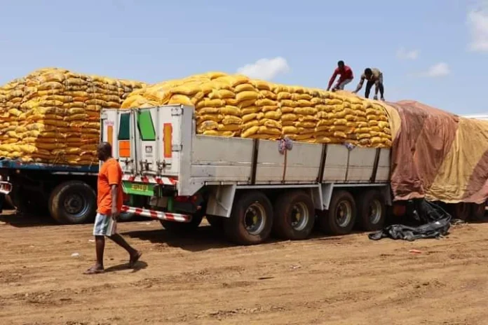 arabfields-img-500-70