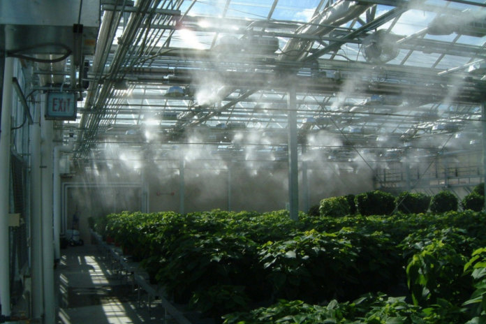 af_img-03