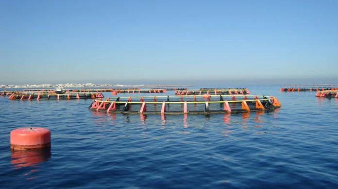 af-img-1-351
