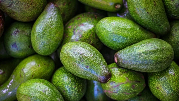 af-img-1-avocado-1
