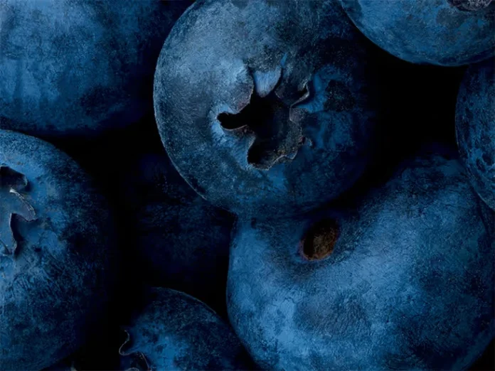 arabfields-img-500-Blueberry