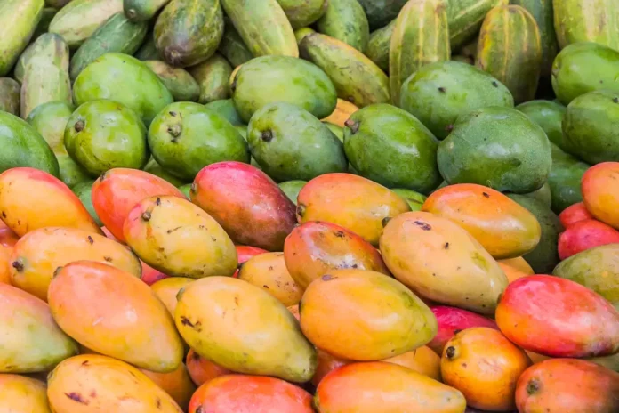 arabfields-img-500-Mango