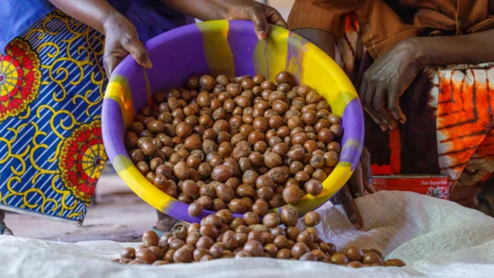 arabfields-img-600-09