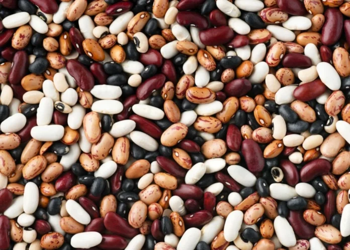 af-img-600-143